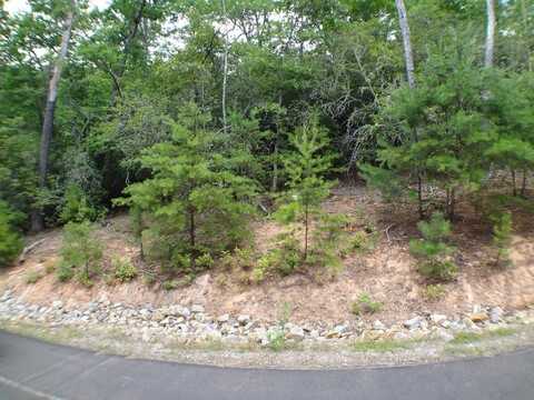 Lot # 14 Porter Creek Rd, Franklin, NC 28734