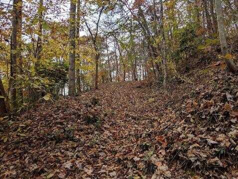 Joy Lane, Sylva, NC 28779