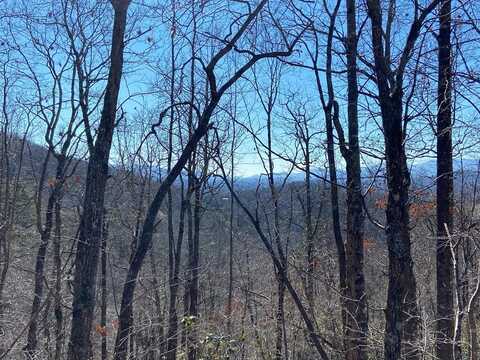 Piney Grove Road, Franklin, NC 28734