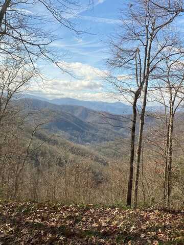 Hickory Nut Trail, Sylva, NC 28779