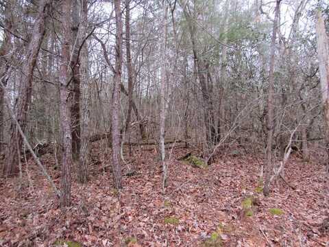 Lot 28 June Bug Ln, Murphy, NC 28906