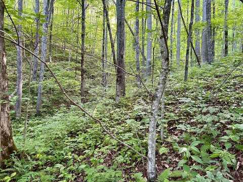 Lot 2 Unahala Creek Road, Bryson City, NC 28713