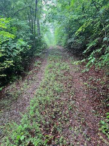 Lot 55 Highlands Pass, Franklin, NC 28734