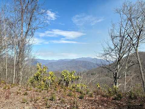 Lot 56 Highlands View, Whittier, NC 28789