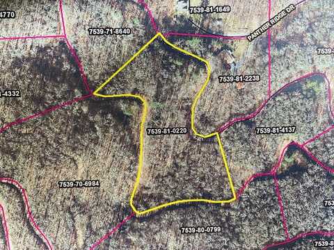 Lot 68 Mountain Forest Estates, Sylva, NC 28779