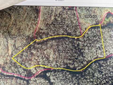 Lot 66 Mountain Forest Estates, Sylva, NC 28779