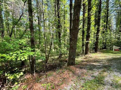 Lot 8 Mountain Meadows Rd, Franklin, NC 28734