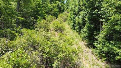 Tunnel Mountain Rd., Whittier, NC 28789