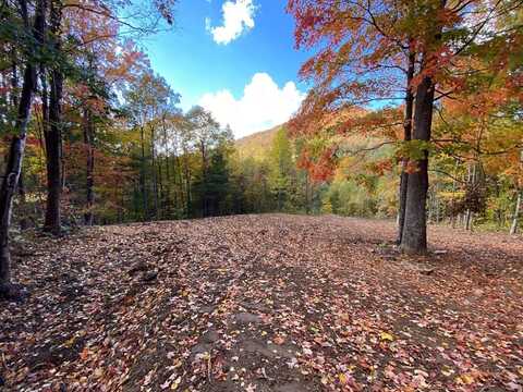 Garnet Road, Sylva, NC 28789