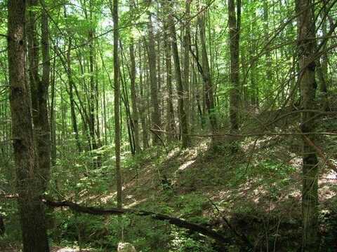 Lot 19 Sunkota Trail, Bryson City, NC 28713