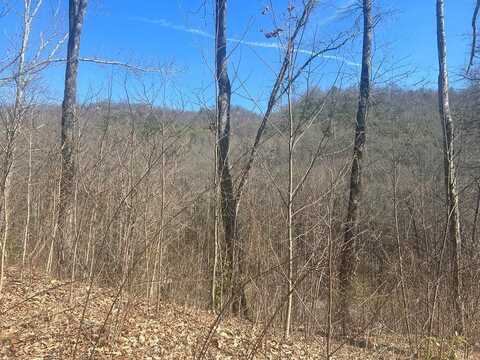 Lot 94 Towalgia Drive, Bryson City, NC 28713