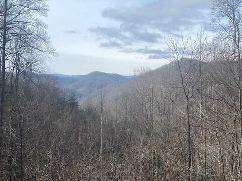 Garnet, Sylva, NC 28779