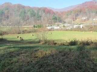 205 Dreaming Creek Road, Sylva, NC 28779