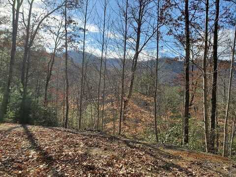 Lot 25 Cliff View Drive, Franklin, NC 28734