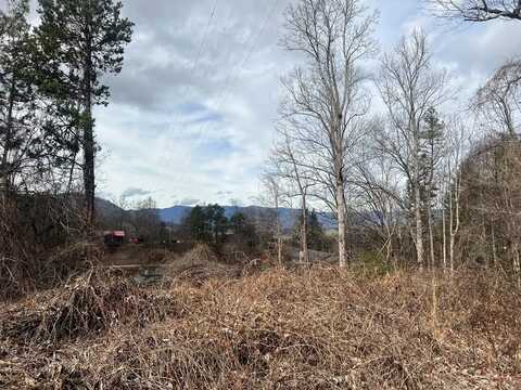 Biltmore Circle, Bryson City, NC 28713