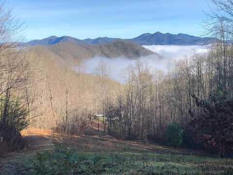 English Setter Trail, Whittier, NC 28789