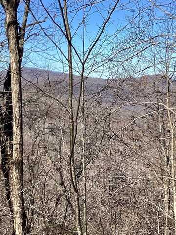 5f Shook Cove, Sylva, NC 28779