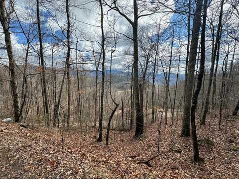 Lot 9 RD 1521, Franklin, NC 28734