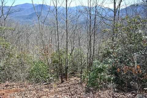 Lt 72 Longview Ridge, Sylva, NC 28779