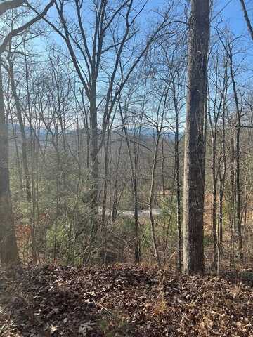 Lot 1 Elkhorn Ridge Drive, Franklin, NC 28734