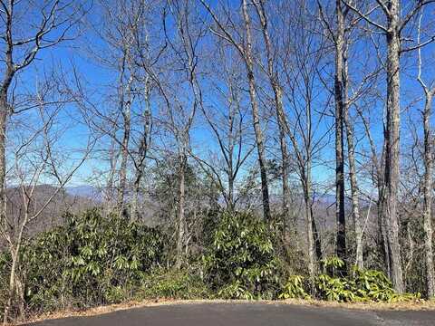 Persimmon Way, Bryson City, NC 28713