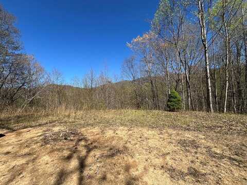 359 Loon Lane, Whittier, NC 28789