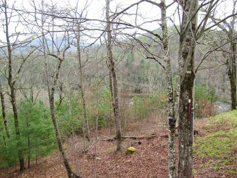 Big River Dr, Franklin, NC 28734