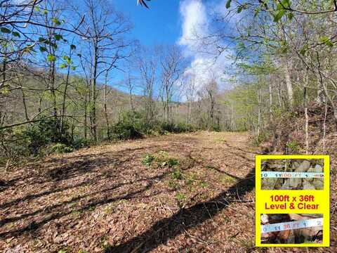 965 Autumn Dr, Maggie Valley, NC 28751