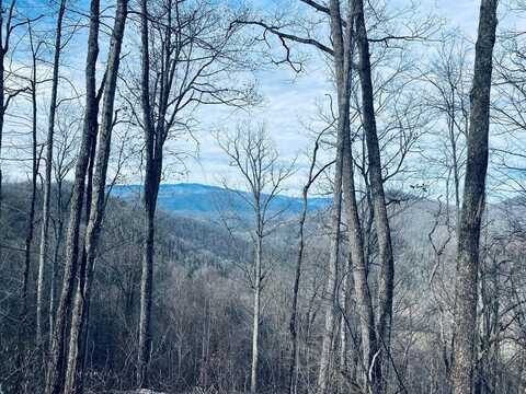 Carpenter Road, Bryson City, NC 28713