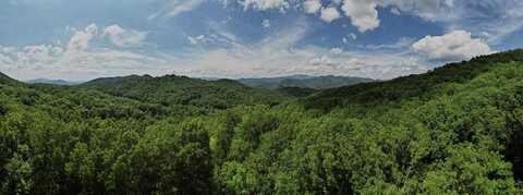 Black Forest, Bryson City, NC 28713