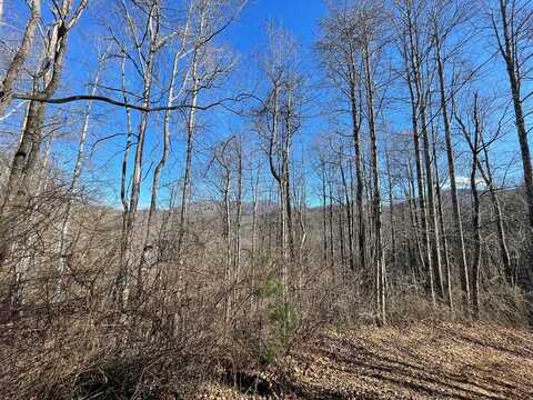 Blue Moss Dr, Sylva, NC 28779