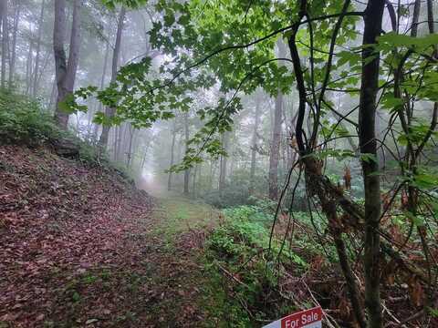 2100 Chambers Mountain Rd, Waynesville, NC 28721