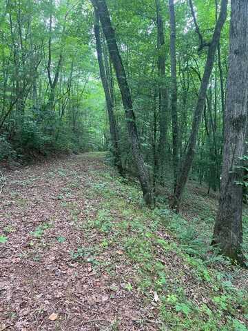 Lot 35 Mountain Circle, Franklin, NC 28734