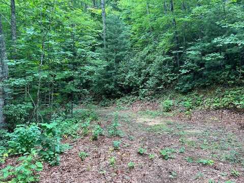 Lot 3 High Frontier Trail, Robbinsville (Graham), NC 28771