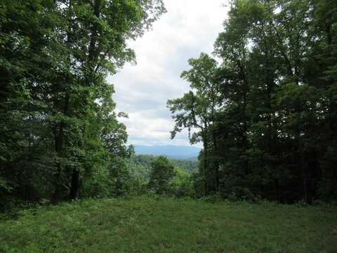 Lot 17 Berry Cove Rd, Franklin, NC 28734