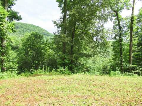 Lot 8 Berry Cove Rd, Franklin, NC 28734