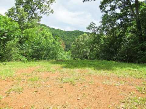 Lot 7 Berry Cove Rd, Franklin, NC 28734