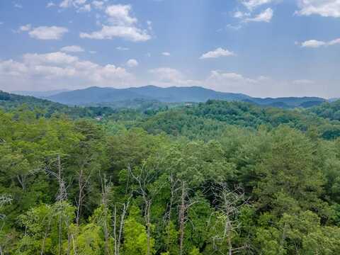 Chinquapin Cove, Whittier, NC 28789