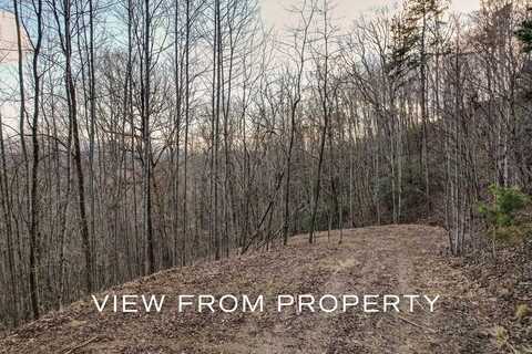 Lot 40 Buck Mountain Rd, Franklin, NC 28734