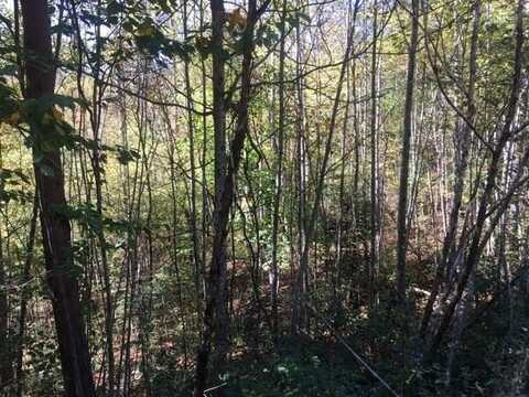 21 Sunshine Acres, Sylva, NC 28779