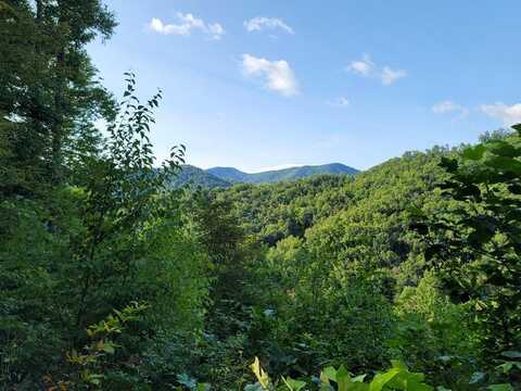 845* Little Ellijay Road, Franklin, NC 28734