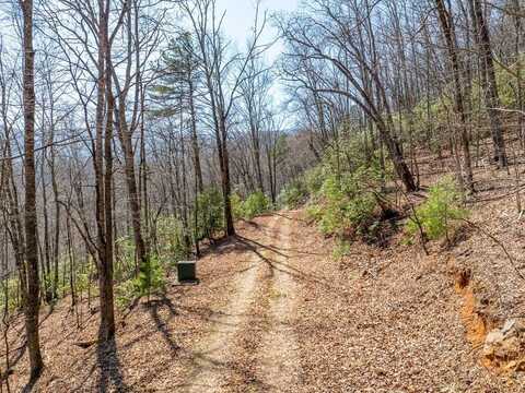 Settlers Lane, Franklin, NC 28734