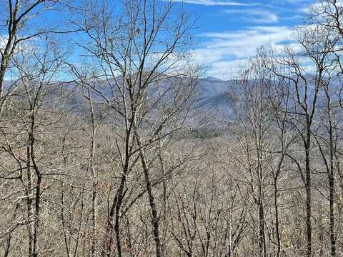 Lyle Knob Rd., Franklin, NC 28734