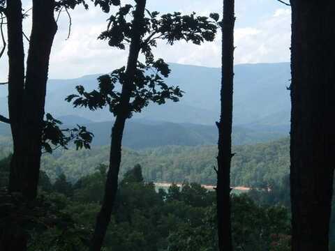 96-2 Wild Orchid Trail, Bryson City, NC 28713