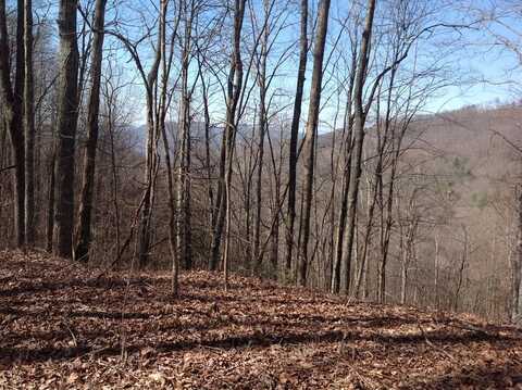 Lt 55b Old Logging Trail, Sylva, NC 28779