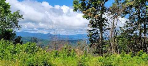 Lot 11 Off Rushing Falls, Bryson City, NC 28713