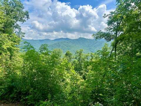 Lot 11 Hickory Rock Road, Bryson City, NC 28713