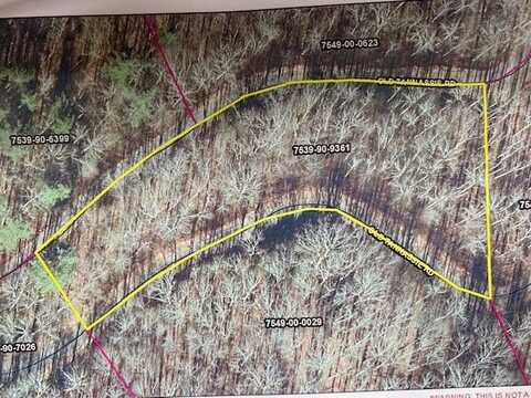 Lot48 Mountain Forest Estates, Sylva, NC 28779