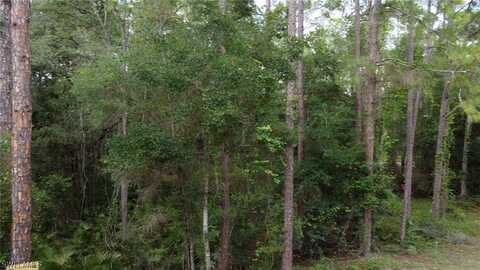 7200 Norway Street, Webster, FL 33597