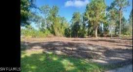 1042 Marathon Avenue, Lehigh Acres, FL 33974